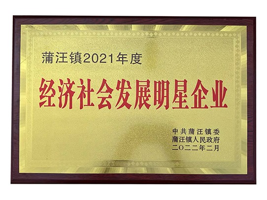 经济社会发展明星企业
