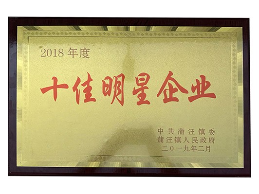 十佳明星企业